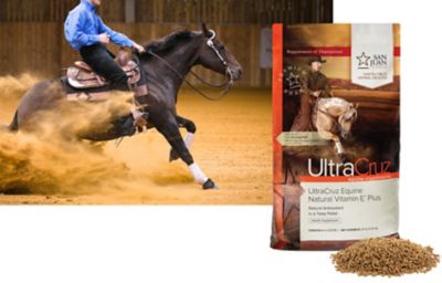 Image showing 4 th UltraCruz Equine Natural Vitamin E Plus Supplement for Horses