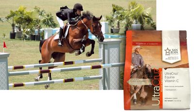Image showing  Equine Vitamin C (Ascorbic Acid) Supplement for Horses