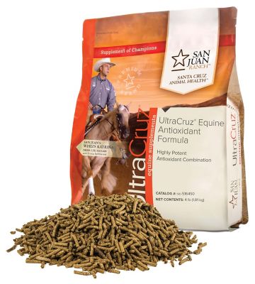 UltraCruz Equine Antioxidant Supplement for Horses, 4.2 lb.