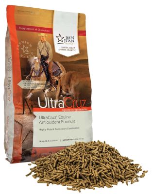Image showing  Equine Antioxidant Supplement for Horses