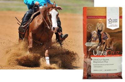 Image showing  Equine Magnesium Plus Mineral Horse Supplement, 10 lb.