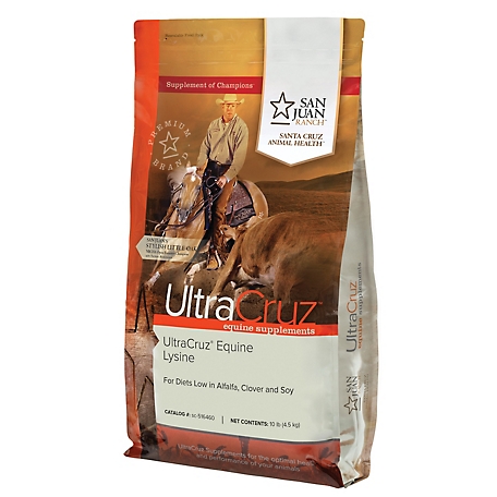 UltraCruz Equine Lysine Supplement for Horses, 10 lb.