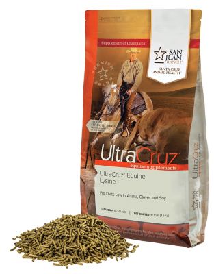 Image showing  Equine Lysine Supplement for Horses