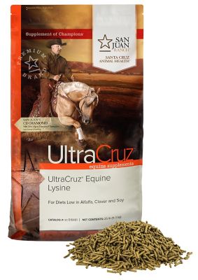 Image showing  Equine Lysine Supplement for Horses, 25 lb., Pellet, 200 Day Supply