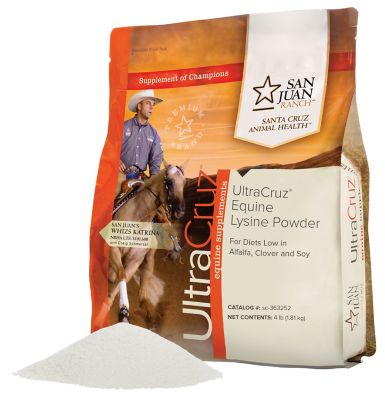 Image showing  Equine Lysine Supplement for Horses