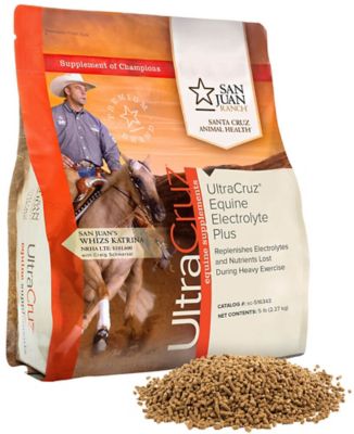 UltraCruz Equine Electrolyte Plus Supplement for Horses, 5 lb.