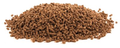 Image showing  Equine Electrolyte Plus Supplement for Horses