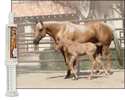 Image showing  Equine Electrolyte Supplement for Horses, 60 ml (75 g), Paste