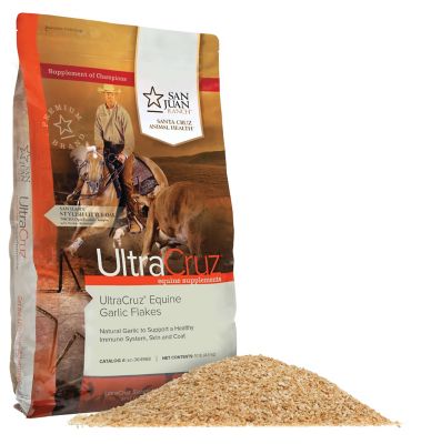 Image showing  Equine Garlic Flakes Supplement for Horses