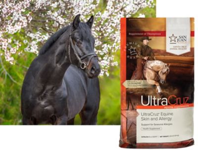 Image showing  Equine Skin and Allergy Supplements for Horses, 25 lb.