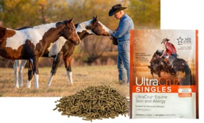 Image showing 5 th UltraCruz Equine Skin and Allergy Supplements for Horses, 120 Singles, Pellets, 60-Day Supply