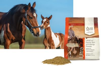 Image showing 6 th UltraCruz Equine Skin and Allergy Supplements for Horses, 2 lb.