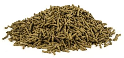 Image showing  Equine Vitamin B-1 Supplements for Horses, 2.5 lb.