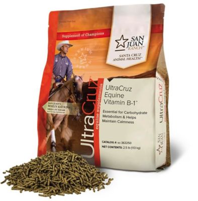 Image showing  Equine Vitamin B-1 Supplements for Horses, 2.5 lb.