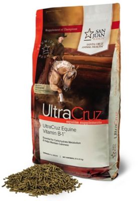 Image showing  Equine Vitamin B-1 Supplements for Horses, 2.5 lb.