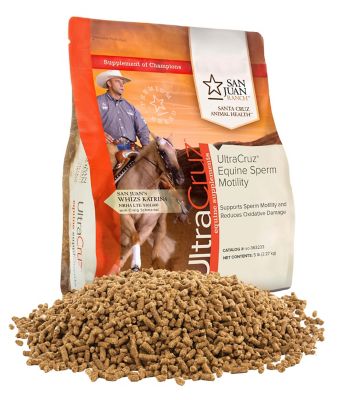 UltraCruz Equine Sperm Motility Enhancer Supplement for Horses, 5 lb