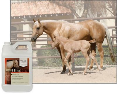 Image showing  Equine Potency Supplement for Horses, 1 gal.