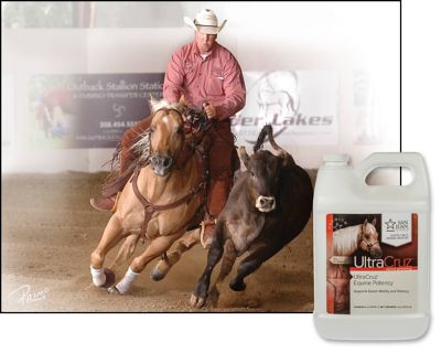 Image showing  Equine Potency Supplement for Horses, 1 gal.