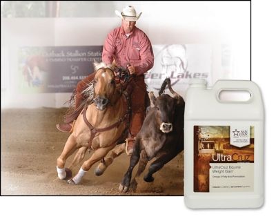 Image showing  Equine Weight Gain Supplement for Horses, 1 gallon, 32 Day Supply, Liquid