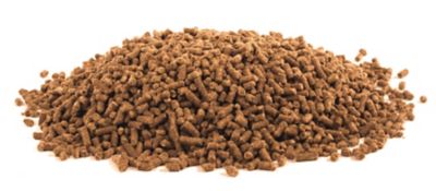 Image showing  Equine Metabolic Support Supplement for Horses, 60 singles, Pellet, 30 day supply