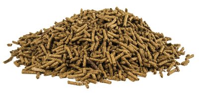 Image showing  Equine Chromium Yeast Supplement for Horses