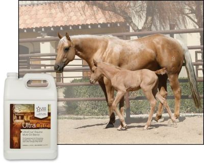Image showing  Multi-Oil Blend Supplement for Horses, Dogs and Livestock, 1 gallon