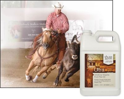 Image showing  Pure Flax Oil Supplement for Horses and Livestock, 1 gal.