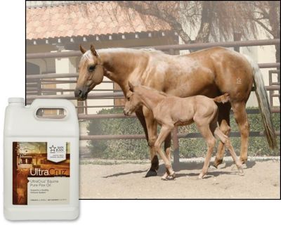 Image showing  Pure Flax Oil Supplement for Horses and Livestock, 1 gal.