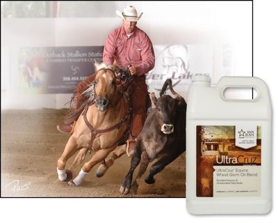 Image showing  Wheat Germ Oil Blend Supplement for Horses and Livestock, 1 gal.