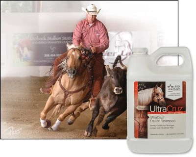 Image showing  Equine Shampoo, 1 gal.