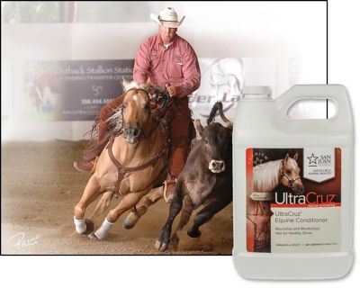 Image showing  Equine Conditioner, 1 gal.
