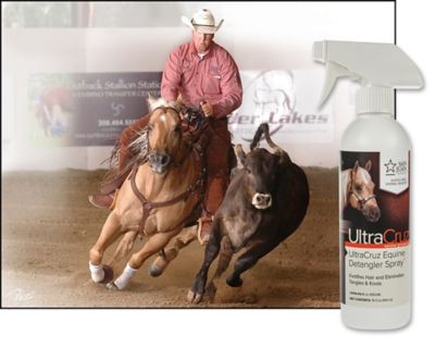 Image showing  Equine Detangler Spray 16 oz.