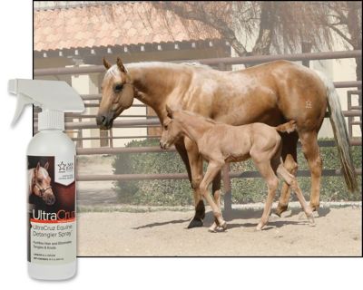 Image showing  Equine Detangler Spray 16 oz.