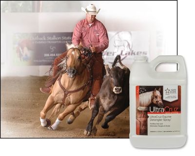 Image showing  Equine Detangler Spray for Horses, 1 gal.