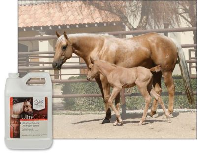 Image showing  Equine Detangler Spray for Horses, 1 gal.