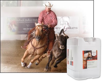 Image showing  Equine Detangler Spray for Horses, 5 gal.