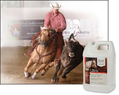 Image showing  Equine Detangler Gel for Horses, 1 gal.