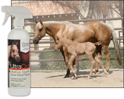 Image showing  Equine Show Polish Spray for Horses, 16 oz.