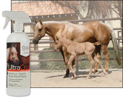 Image showing  Equine Show Polish Spray for Horses, 32 oz.