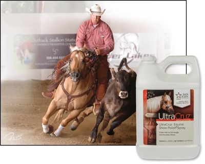 Image showing  Equine Show Polish Spray for Horses, 1 gal.