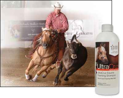 Image showing  Equine Foaming Shampoo for Horses