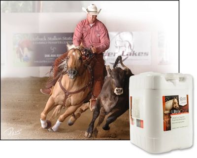 Image showing  Equine Foaming Horse Shampoo, 5 gal.