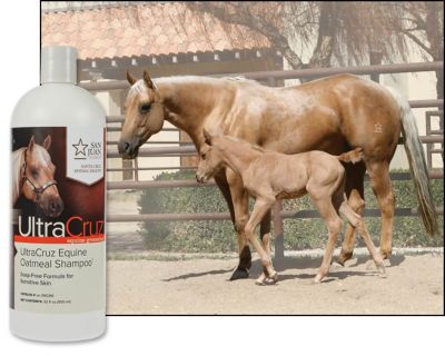 Image showing  Equine Oatmeal Horse Shampoo, 32 oz.