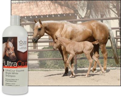 Image showing  Equine Bright White Shampoo for Horses, 32 oz.