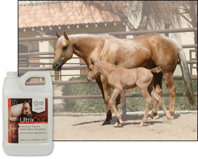 Image showing  Equine Bright White Horse Shampoo