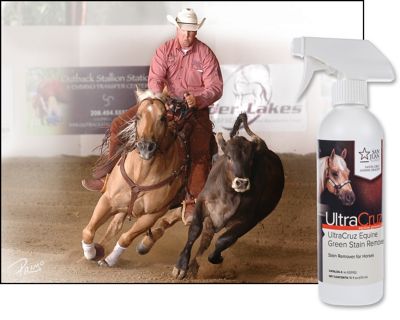Image showing  Equine Green Stain Remover for Horses, 16 oz.