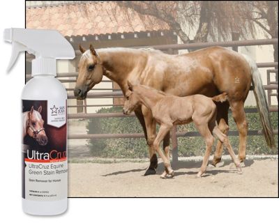 Image showing  Equine Green Stain Remover for Horses, 16 oz.