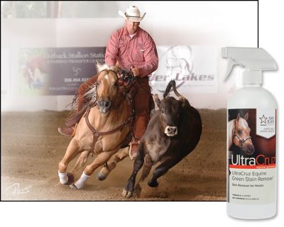 Image showing  Equine Green Stain Remover for Horses, 32 oz. Spray