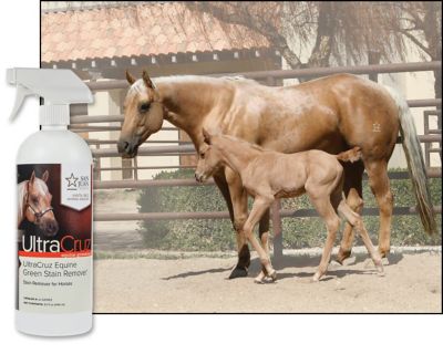 Image showing  Equine Green Stain Remover for Horses, 32 oz. Spray