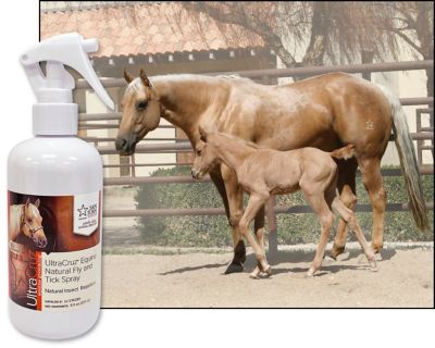 Image showing  Equine Natural Fly and Tick Spray for Horses, 8 oz.